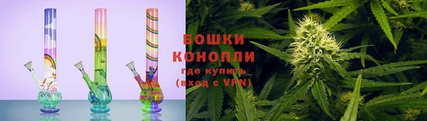 гашик Нефтекумск