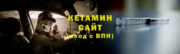 крисы Корсаков