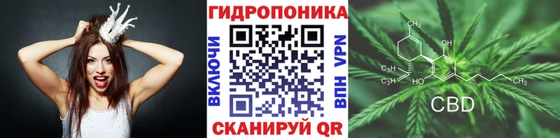 хочу наркоту  Алдан  KRAKEN   Бошки марихуана план 